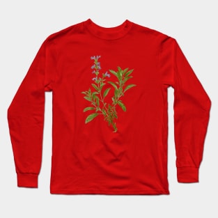 Vintage Garden Sage Botanical Illustration Long Sleeve T-Shirt